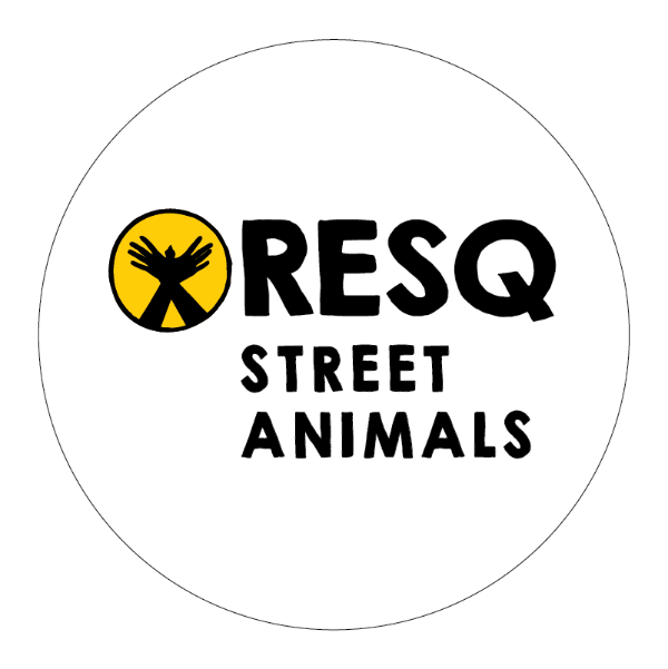 RESQ Charitable Trust Animal Rescue Pune tech-park-one-yerwada-pune-top-it-companies-in-yerwada-ibm-cocentrix