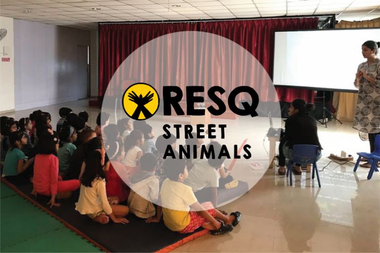 Street Animals Community Programs