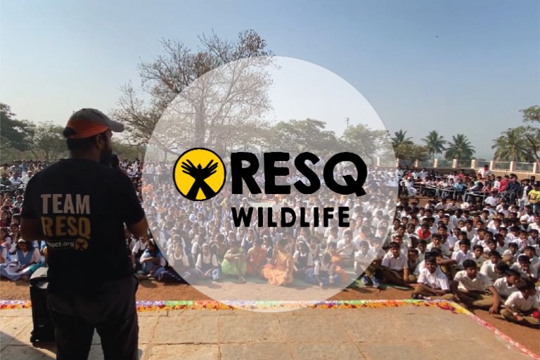 Wildlife Community Programs