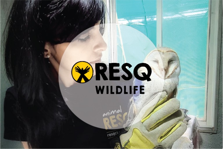 RESQ Wildlife