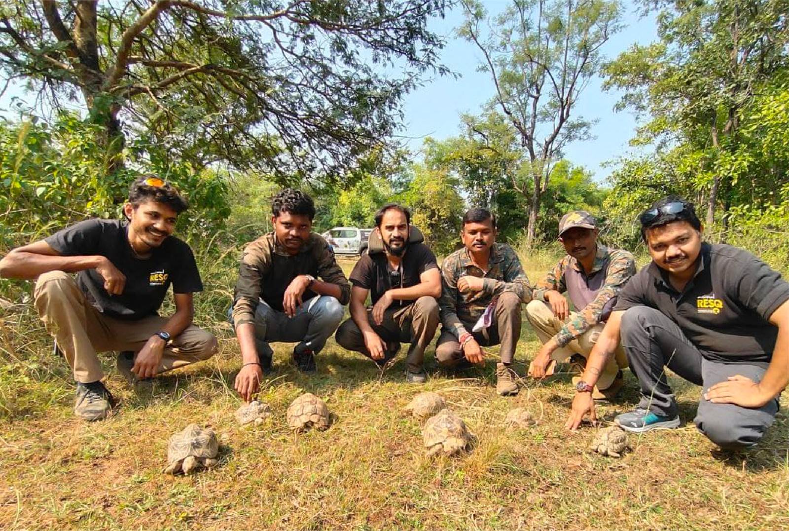 120 Indian Star Tortoises rescued from the illegal wildlife trade repatriated in Maharashtra