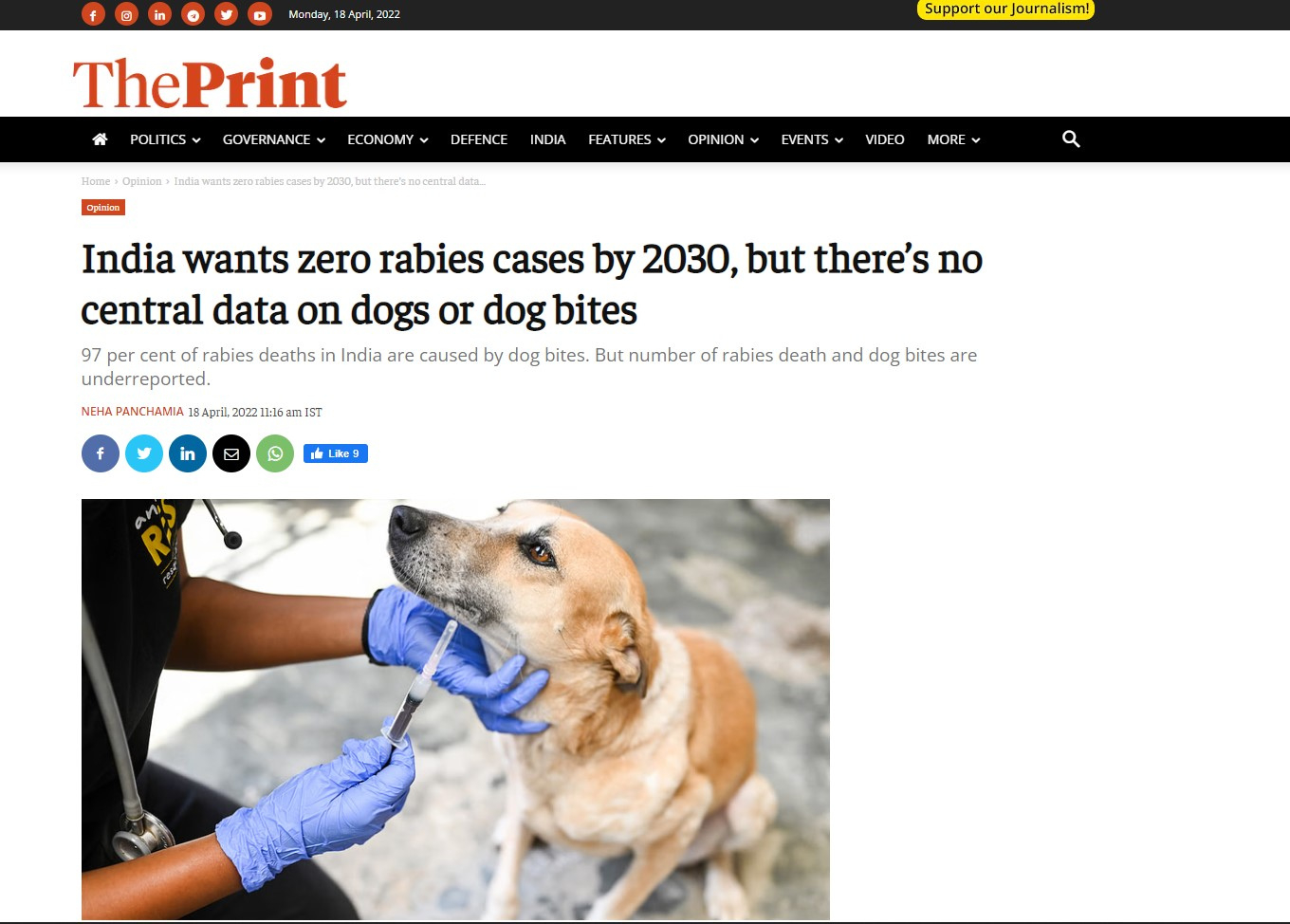 India wants zero rabies cases by 2030, but there's no central data on dogs  or dog bites - RESQ Charitable Trust