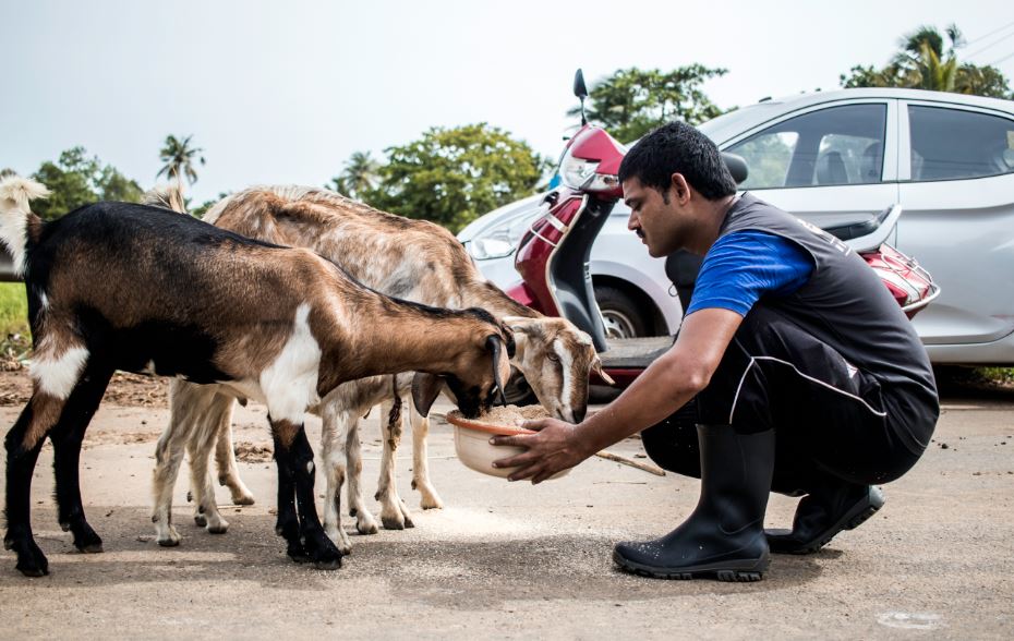 Resq Charitable Trust Resq For Kerala