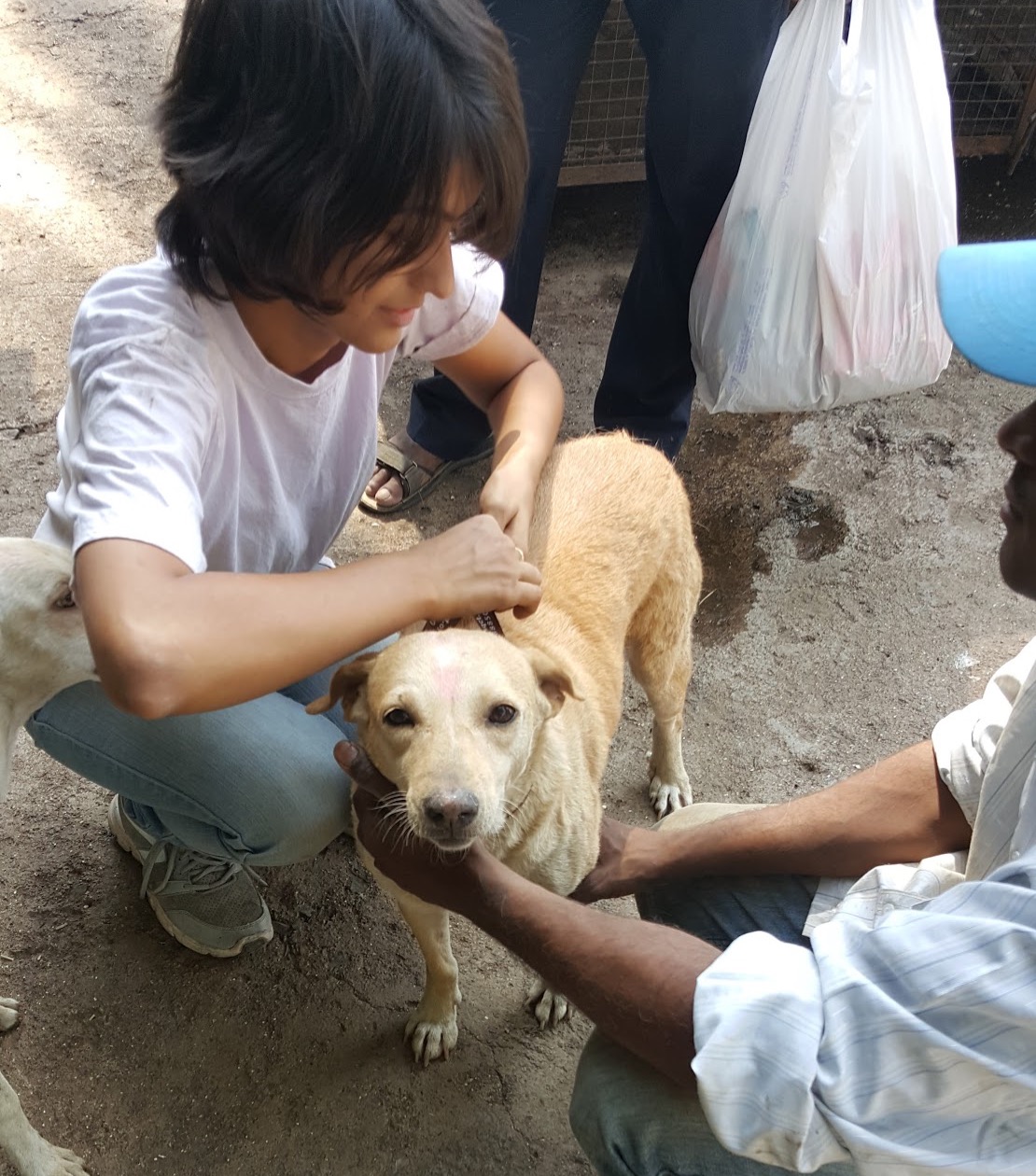 RESQ @ Jeevraksha - RESQ Charitable Trust RESQ @ Jeevraksha - RESQ Charitable Trust