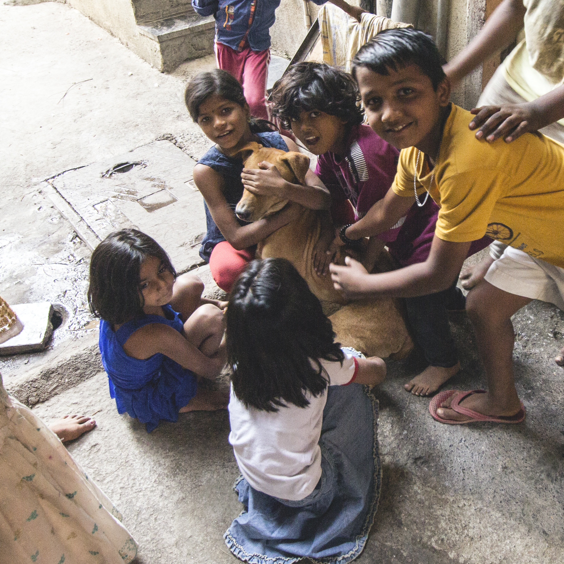 Children playing with a dog